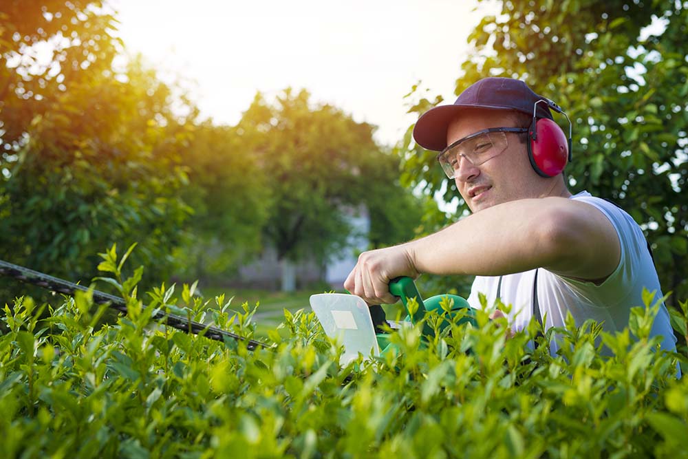 Service de jardinage à domicile Lyon