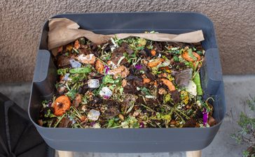 Compost : quelle est la différence entre un composteur et un